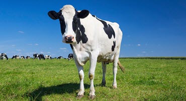Join Experts for Regenerative Ag Tour in New York