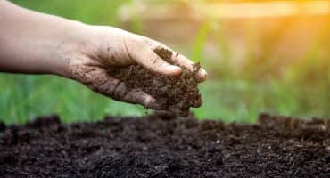 NRCS Technical Notes for Soil Health Management